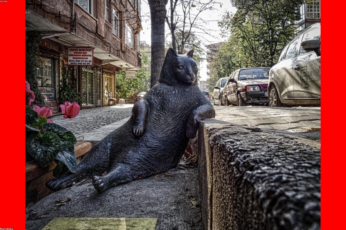 Ufficio di una startup italiana con scrivania condivisa, lavagne e post-it colorati