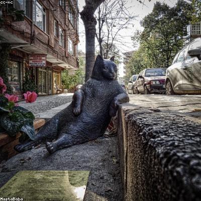 Foto di Sofia Benedetti